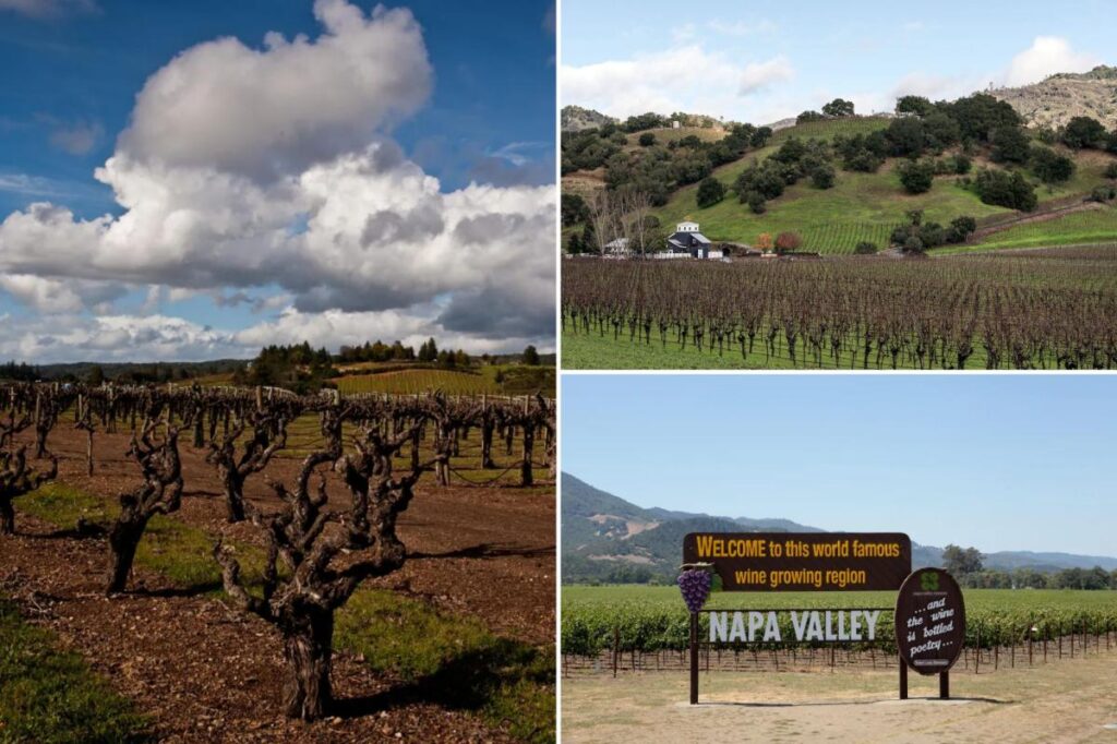 Napa Valley nightmare as experts warn wineries could run dry: ‘Unsustainable’ Napa Valley nightmare as experts warn wineries could run dry: ‘Unsustainable’