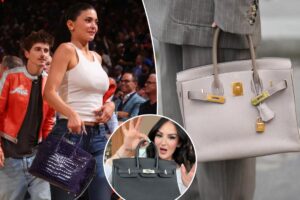 Fashionistas can rent a once-dare-to-dream Hermès Birkin bag — but outraged critics argue that it’s a pricey scheme Fashionistas can rent a once-dare-to-dream Hermès Birkin bag — but outraged critics argue that it’s a pricey scheme