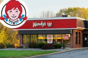Wig out! Wendy’s plans mascot lookalike contest for World Redhead Day with tasty one-year prize for winner
