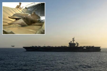 Iran eyeing mine-carrying dolphins to attack US warships in Strait of Hormuz
