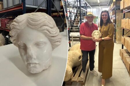 Ancient Roman bust in pristine condition discovered during Spanish beach dig