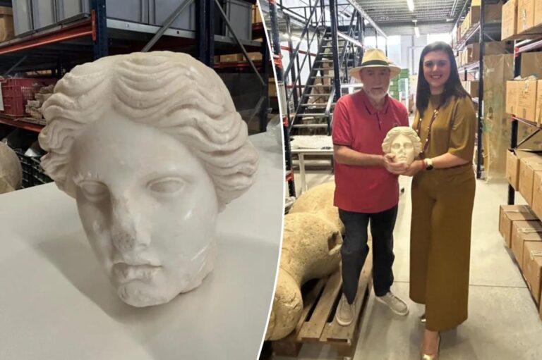 Ancient Roman bust in pristine condition discovered during Spanish beach dig