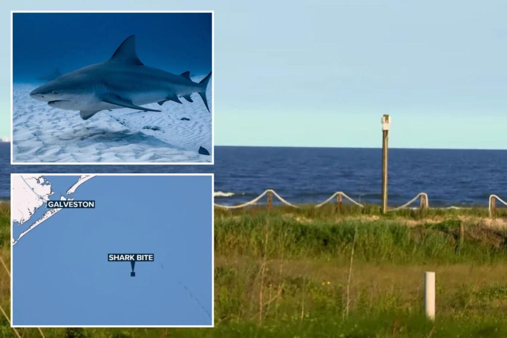 Shark takes a bite out of teen fishing with dad on Memorial Day Shark takes a bite out of teen fishing with dad on Memorial Day