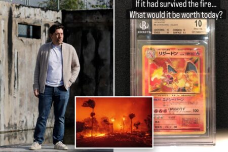 Exclusive | Toymaker who lost .5M in Pokémon cards during Palisades Fire building back collection — and his neighborhood