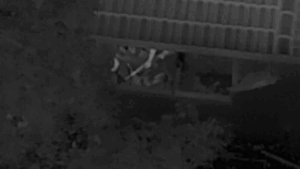 Video shows police take down cop killer with armored vehicle after gunman turned neighborhood into war zone