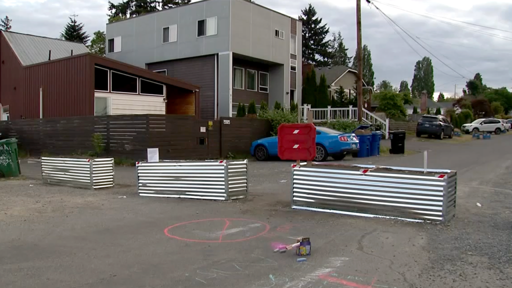 Terrified residents in crime-plagued blue city throw up giant barricades to stop chaos