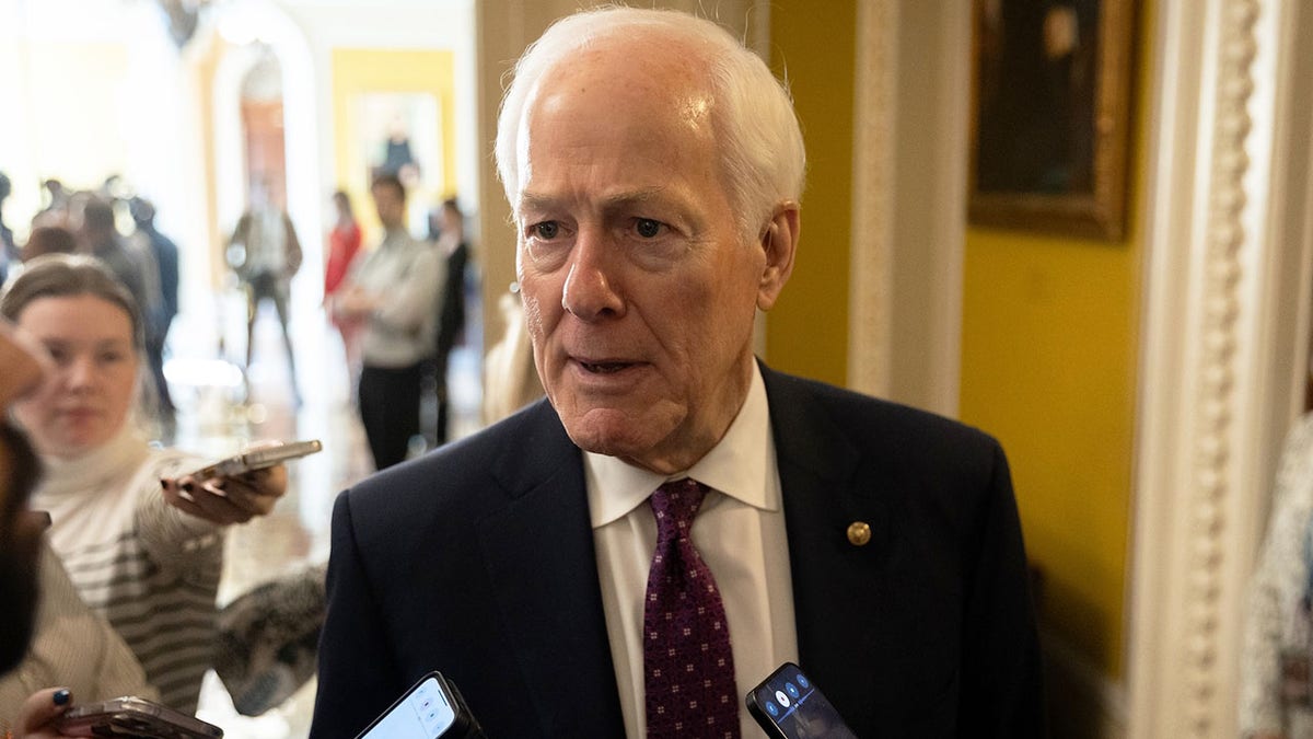 Senator John Cornyn speaking to reporters outside the U.S. Capitol in Washington D.C.