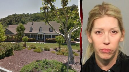 Families confront California ‘party mom’ in court, calling her a ‘monster’ who groomed their children Families confront California ‘party mom’ in court, calling her a ‘monster’ who groomed their children