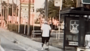 Florida man in ‘No Christ No Life’ T-shirt caught on video allegedly attacking, robbing woman, 82, at bus stop