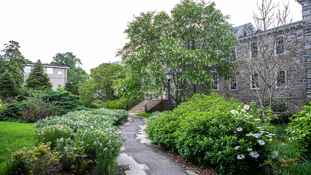 Liberal arts college drops prof’s name from campus hall after grave dig controversy