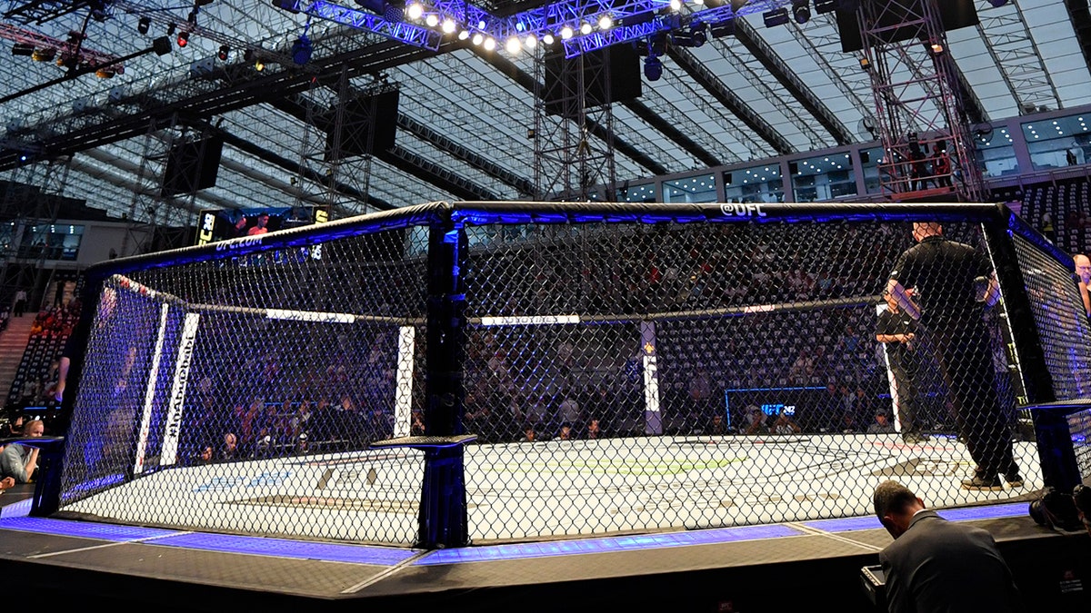 A general view of the UFC Octagon inside The Arena in Abu Dhabi during UFC 242