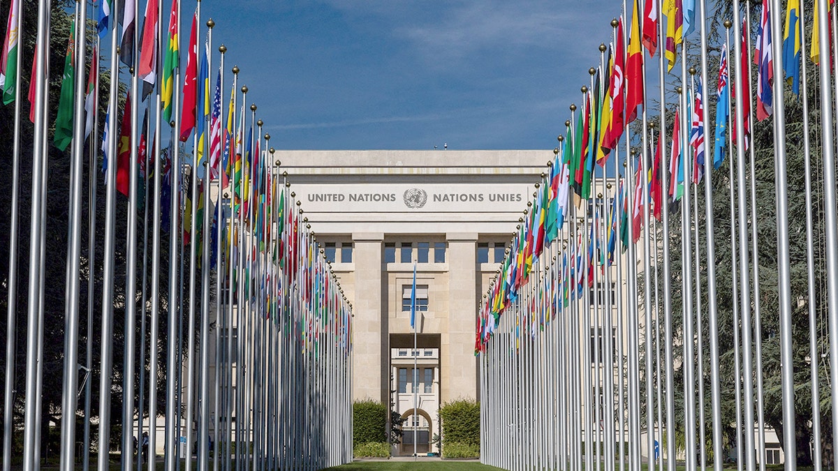 The flag alley at the United Nations European headquarters