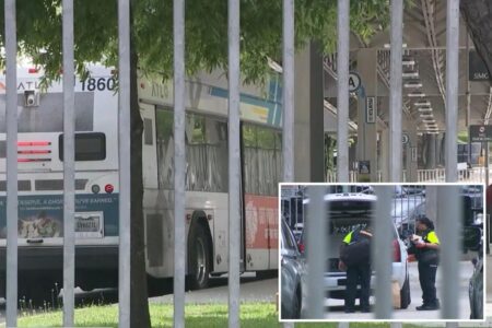 Woman fatally stabbed on Atlanta train in ‘senseless’ daylight attack, suspect arrested