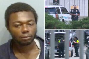 Atlanta train passenger was stabbed 20 times after homeless thug slit her throat in random attack on MARTA Atlanta train passenger was stabbed 20 times after homeless thug slit her throat in random attack on MARTA