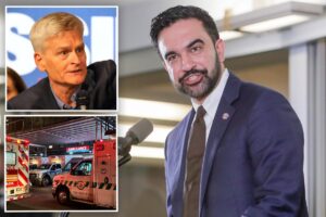 Exclusive | Senate health boss demands Mamdani answer for breach of NYC hospital system where hackers lurked for 3 months