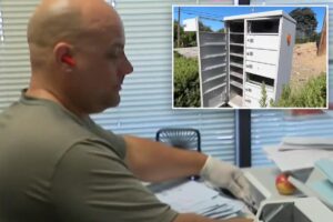Thieves swipe Bay Area mail-in ballots as questions swirl about vote count