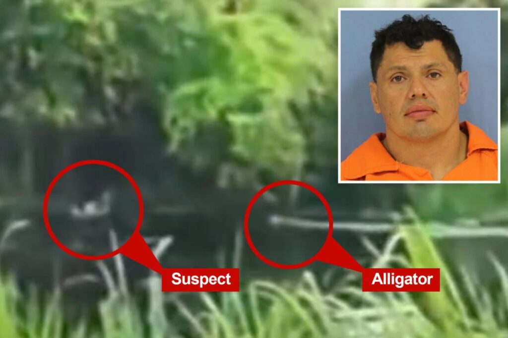 Video shows accused drunk driver run from cops — and into the jaws of a gator Video shows accused drunk driver run from cops — and into the jaws of a gator