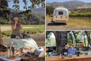 California wine bosses pivot to old-school revenue source as wine cash dries up