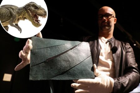 Bona fide T. rex leather purse is going up for auction — and it could fetch 0K
