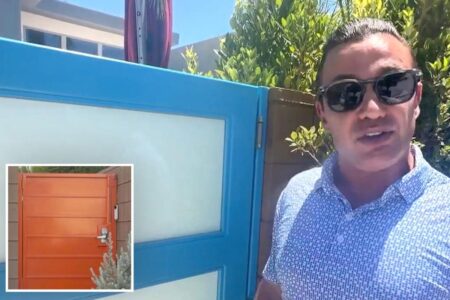 World’s pettiest fight breaks out on wealthy Palm Springs street as homeowner fights back