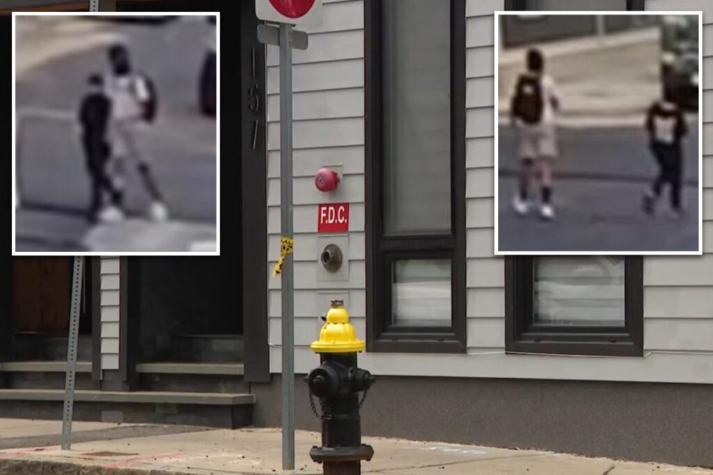 Boston children’s lemonade stand robbed at gunpoint in broad daylight: ‘Just take it!’