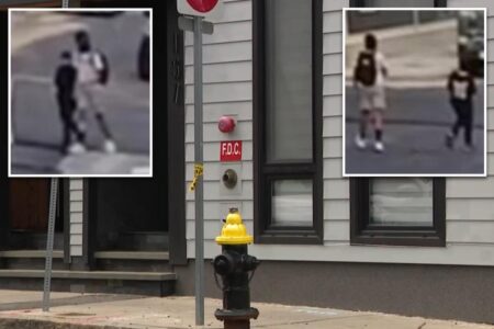 Boston children’s lemonade stand robbed at gunpoint in broad daylight: ‘Just take it!’