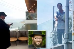 Exclusive | Unhinged California raisin heir arrested after antisemitic terror campaign against rabbi neighbor Exclusive | Unhinged California raisin heir arrested after antisemitic terror campaign against rabbi neighbor