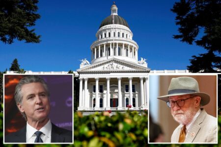 CA Dems could stick families with higher insurance costs — and new tax on software downloads