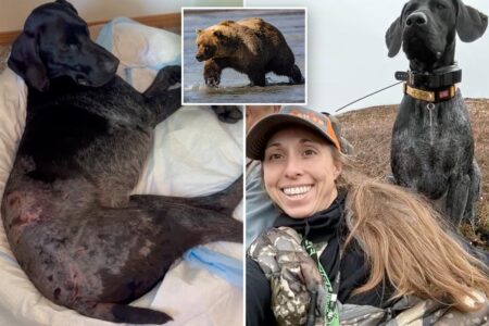Alaska woman uses weapon to survive terrifying bear attack after predator mauls pooch: ‘I thought I was dead’