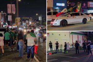 Chaos in LA streets as World Cup fans turn violent for Mexico-South Korea match