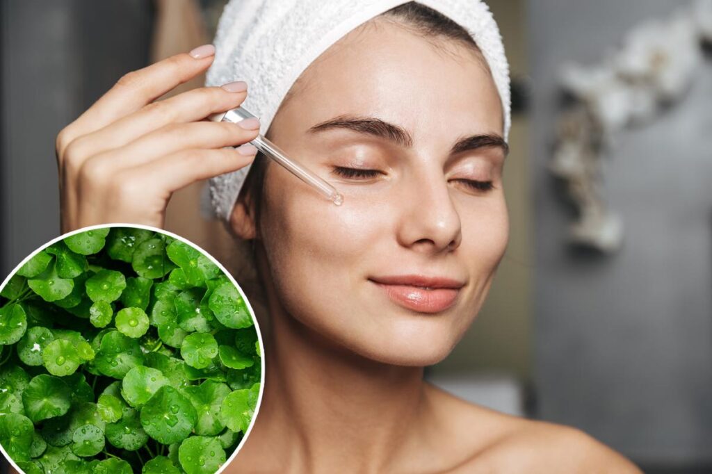 What is the ‘herb of longevity’? All about the trendy Korean skincare staple What is the ‘herb of longevity’? All about the trendy Korean skincare staple