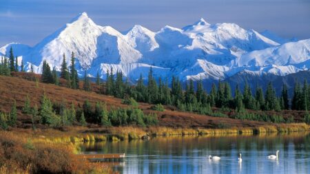 Lone survivor rescued after fatal fall kills three climbers on Mount McKinley Lone survivor rescued after fatal fall kills three climbers on Mount McKinley