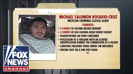 DETAILS: Illegal immigrant accused of DEADLY DUI crash