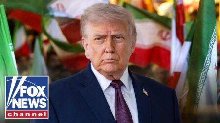 Trump is facing a ‘FORK IN THE ROAD’ with Iran, expert says