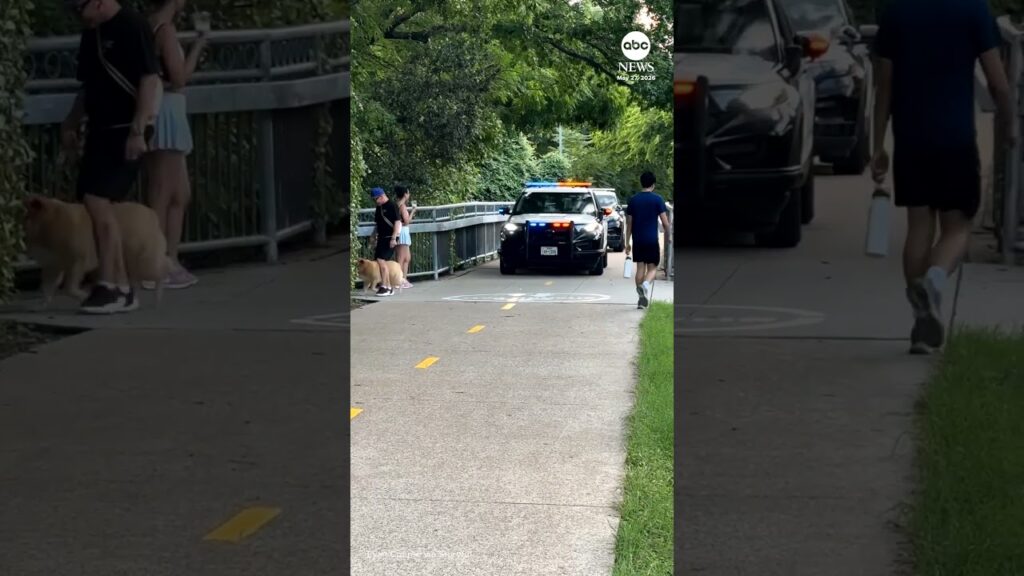 Officer calls out oblivious dog walker blocking his cruiser