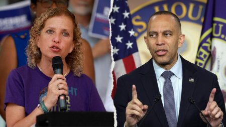 Jeffries declines to back Wasserman Schultz as Black leaders revolt over district switch