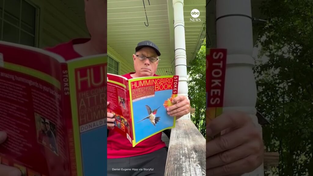Hummingbird flutters around man reading book about how to attract hummingbirds