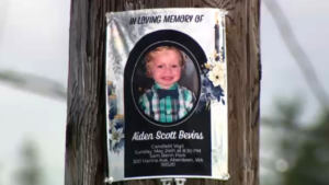 Washington father arrested after allegedly killing 4-year-old son and burying body under his house: reports