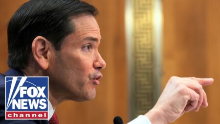 Rubio spars with Dems in FIERY hearing: Is this a CIRCUS? Rubio spars with Dems in FIERY hearing: Is this a CIRCUS?