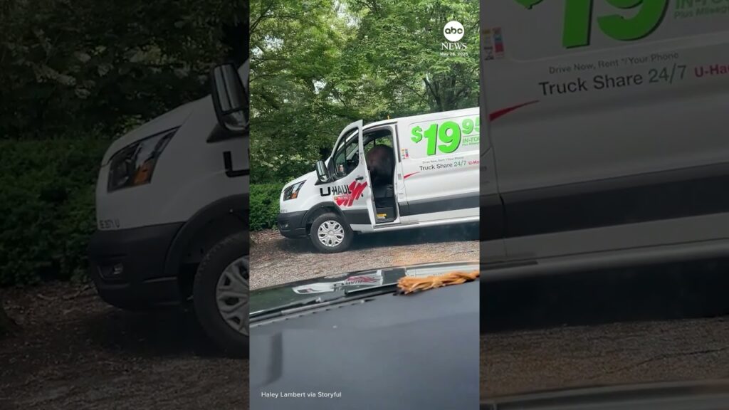 Bear caught red-handed stealing from van