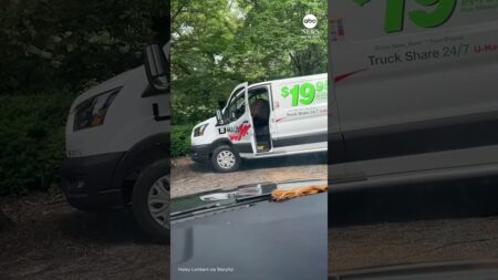 Bear caught red-handed stealing from van
