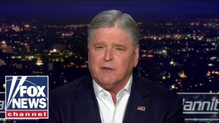 Hannity: This guy is a champagne, socialist marxist
