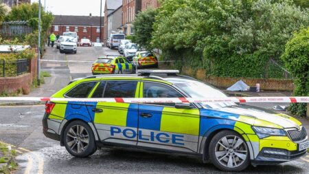Bystanders hailed as ‘heroic’ after intervening in brutal knife attack by Sudanese migrant in UK Bystanders hailed as ‘heroic’ after intervening in brutal knife attack by Sudanese migrant in UK