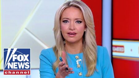 McEnany: This is a KAMIKAZE mission McEnany: This is a KAMIKAZE mission