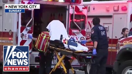 Penn Station stabbing sparks MAJOR security concerns ahead of Trump visit Penn Station stabbing sparks MAJOR security concerns ahead of Trump visit
