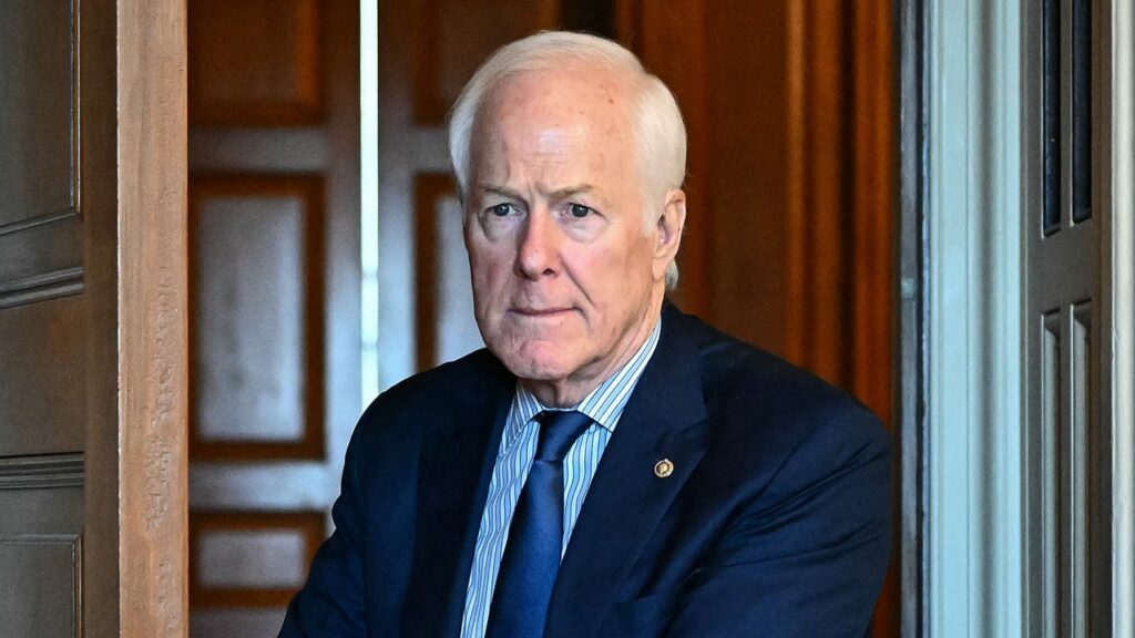Cornyn predicts Trump midterm ‘disaster,’ then ‘the most miserable two years of his life’