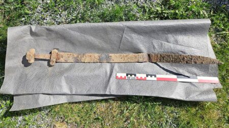 Ancient Viking sword discovered ‘sticking up out of the ground’ after 1,300 years