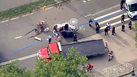 Man killed after horse-drawn carriage bolts and flips near popular New York City tourist destination