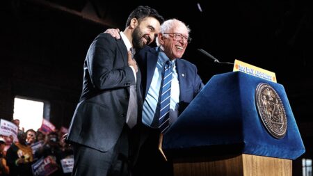 Socialist surge: Mamdani flexes growing political muscle as he takes on Dem establishment Socialist surge: Mamdani flexes growing political muscle as he takes on Dem establishment
