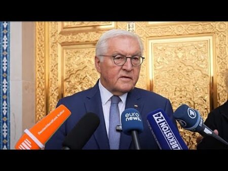 Germany and Uzbekistan deepen ties, President Steinmeier tells Euronews
